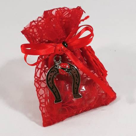 Bomboniera sacchetto portaconfetti per laurea con ciondolo a forma di Staffa di cavallo con coccinella ideale per la tua laurea.