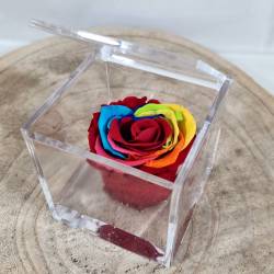 Rose stabilizzate multicolor per bomboniere arcobaleno