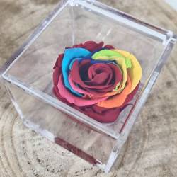 Rose stabilizzate multicolor bomboniere