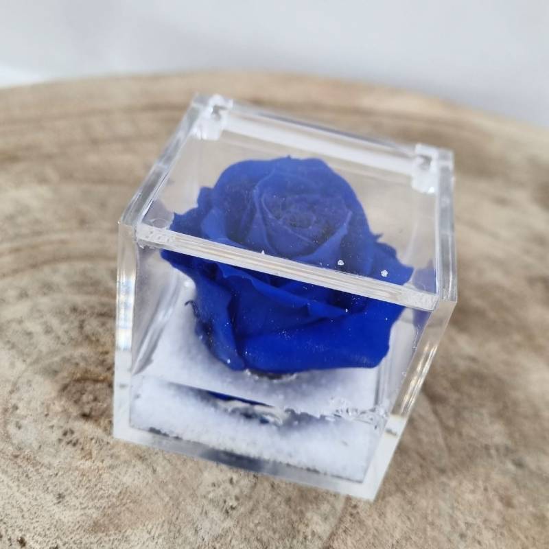 bomboniere rose stabilizzate blu