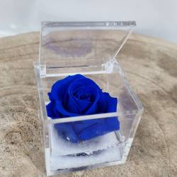 Petali di rosa blu – Bomboniere La Violetta - Creazioni