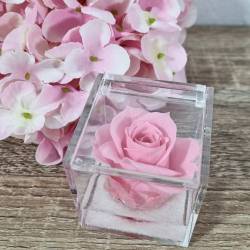 Rose stabilizzate bomboniere rosa plexiglass