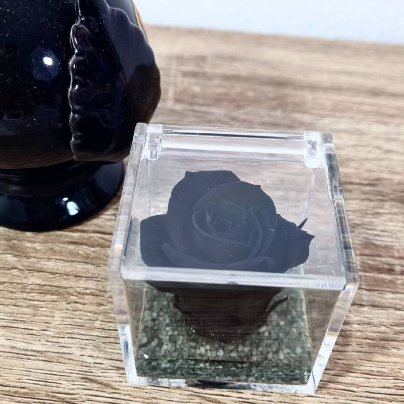 Rosa stabilizzata bomboniera nera cubo plexiglass