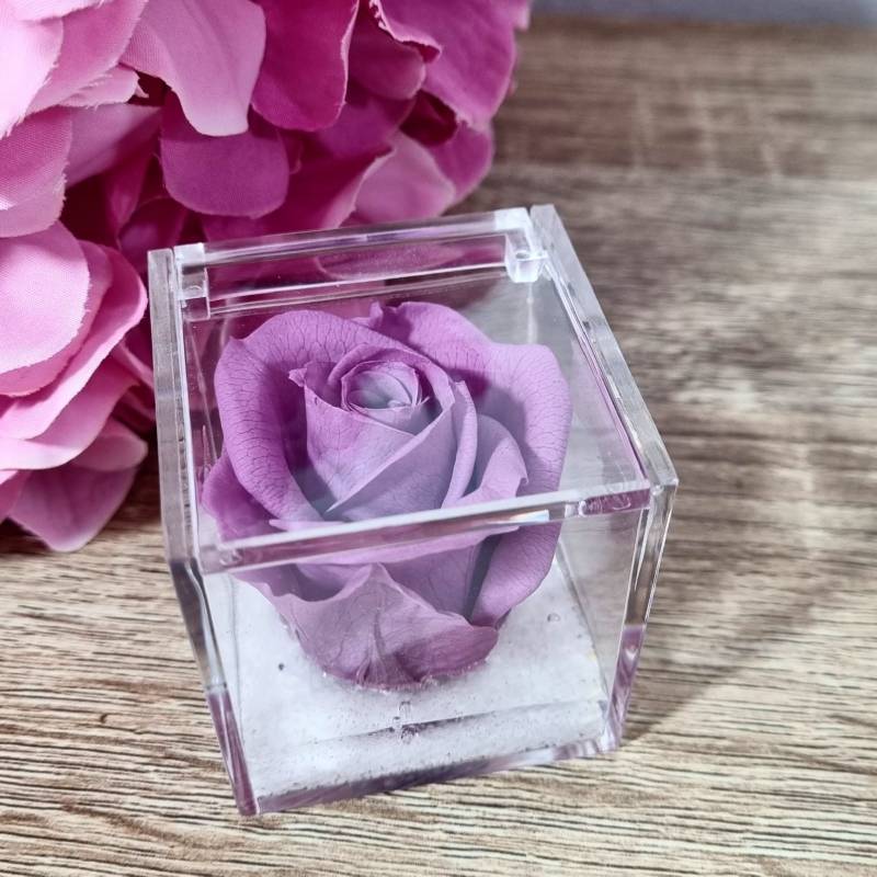 Rosa stabilizzata lilla bomboniera in box plexiglass con gel