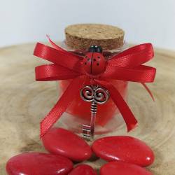 Bomboniera per laurea vasetto portaconfetti decorato con nastro rosso con pendente a forma di chiave argentata