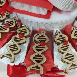 Torta bomboniere laurea biologia portachiavi DNA coccinella portafortuna confetti inclusi