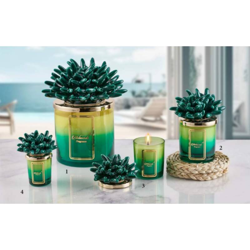 Bomboniere melaverde candele sfumate anemone verde