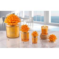 Bomboniere Melaverde candele profumate pianta fiore arancione in ceramica