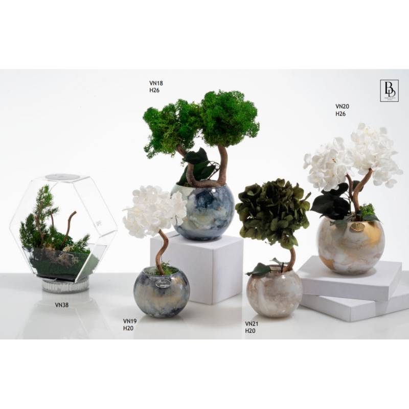 Bomboniere raffinate ed eleganti piante Buba Design linea Vienna shop online
